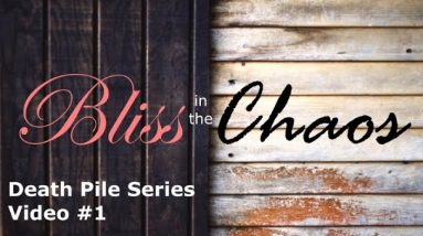 Bliss In The Chaos: Death Pile Series Video #1! Office and Death Pile Tour