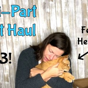 Multi-Part Thrift Haul Part 3! The Cats Join Me To Show You My Thrifted Treasures I Got To Resell
