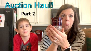 Auction Haul Part 2! Unboxing More Of My Auction Wins To Resell For Profit!